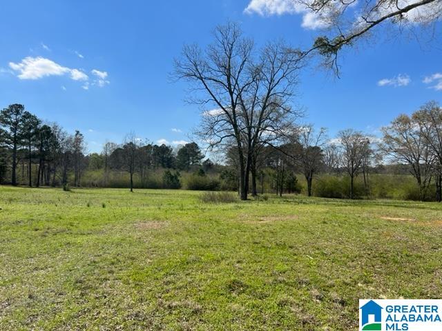 0 Holly Hills Road Lincoln, AL 35096 - Photo 4 of 5
