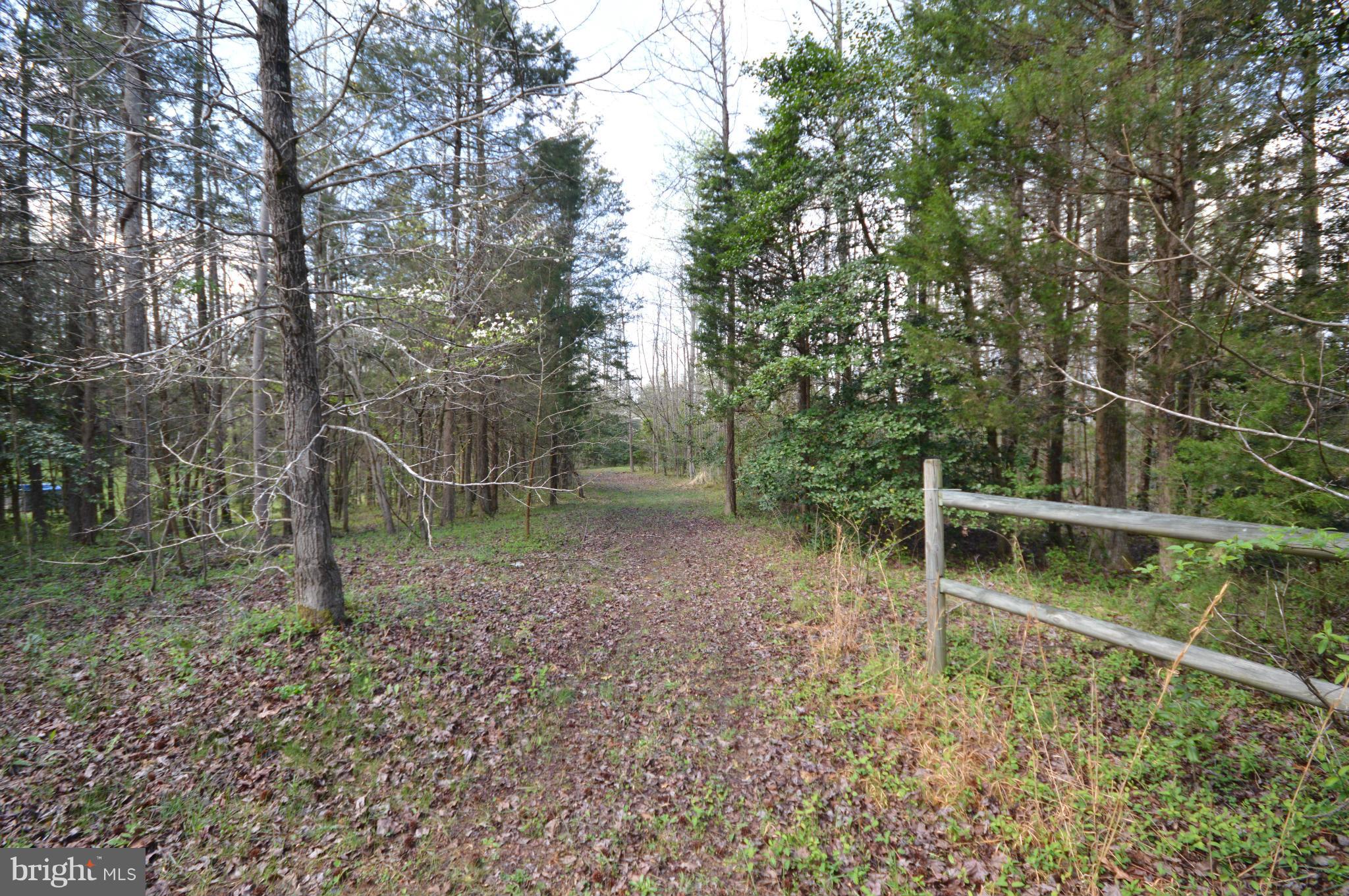 144 Revell Road Fredericksburg, VA 22405 - Photo 24 of 30 View