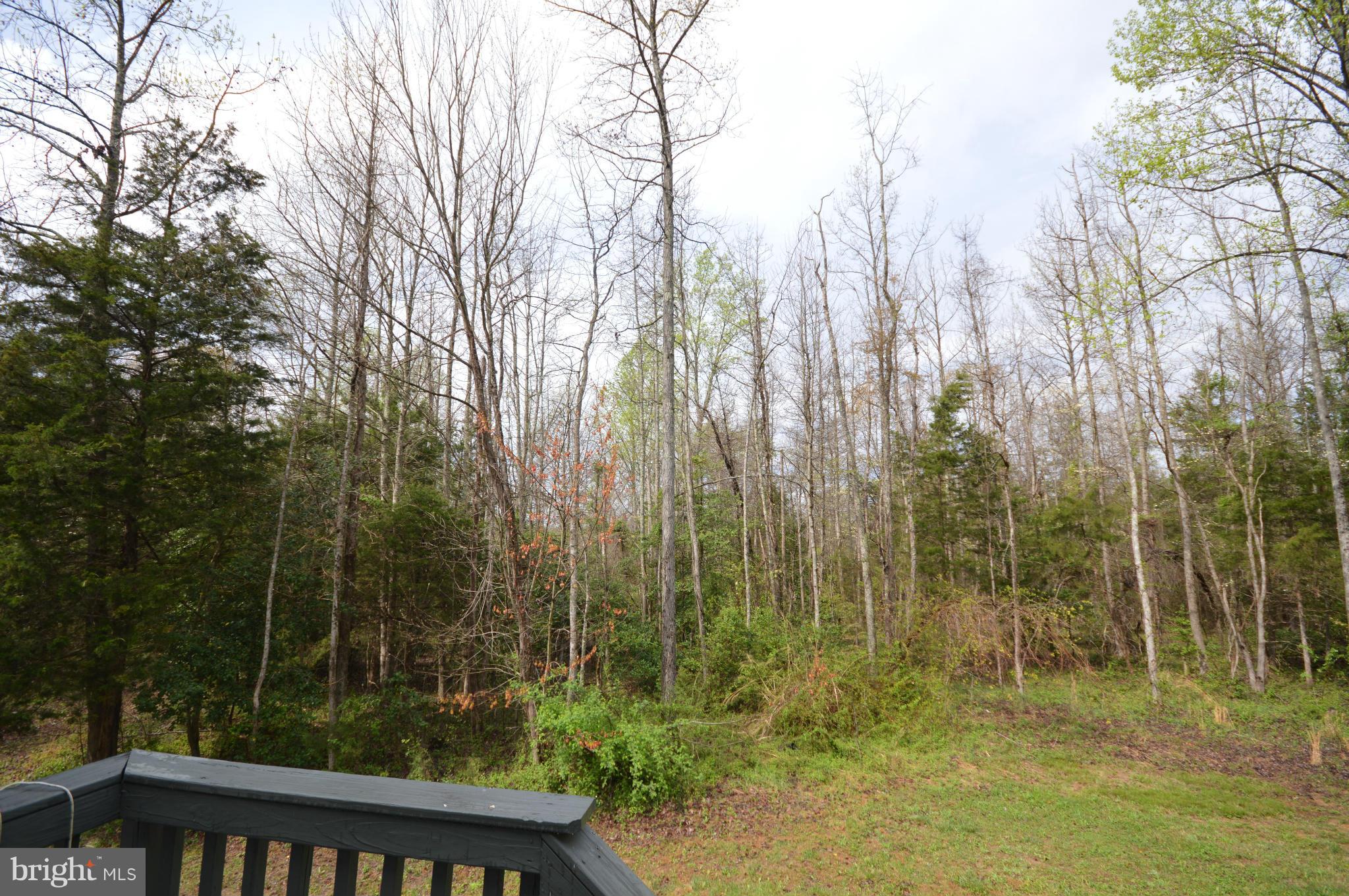 144 Revell Road Fredericksburg, VA 22405 - Photo 27 of 30 View