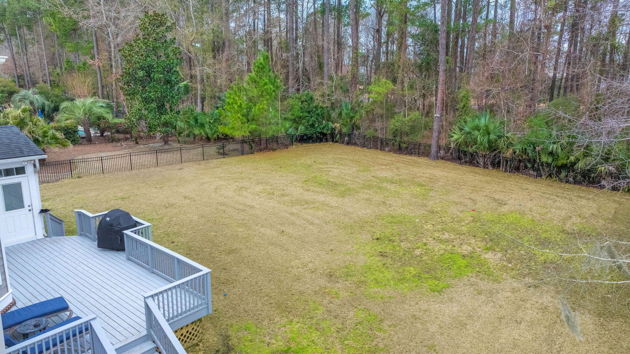 2461 Darts Cove Way Mount Pleasant, SC 29466 - Photo 54 of 69 Large backyard