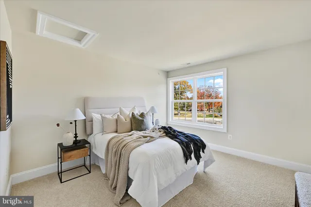 a bed room with two bed and potted plant