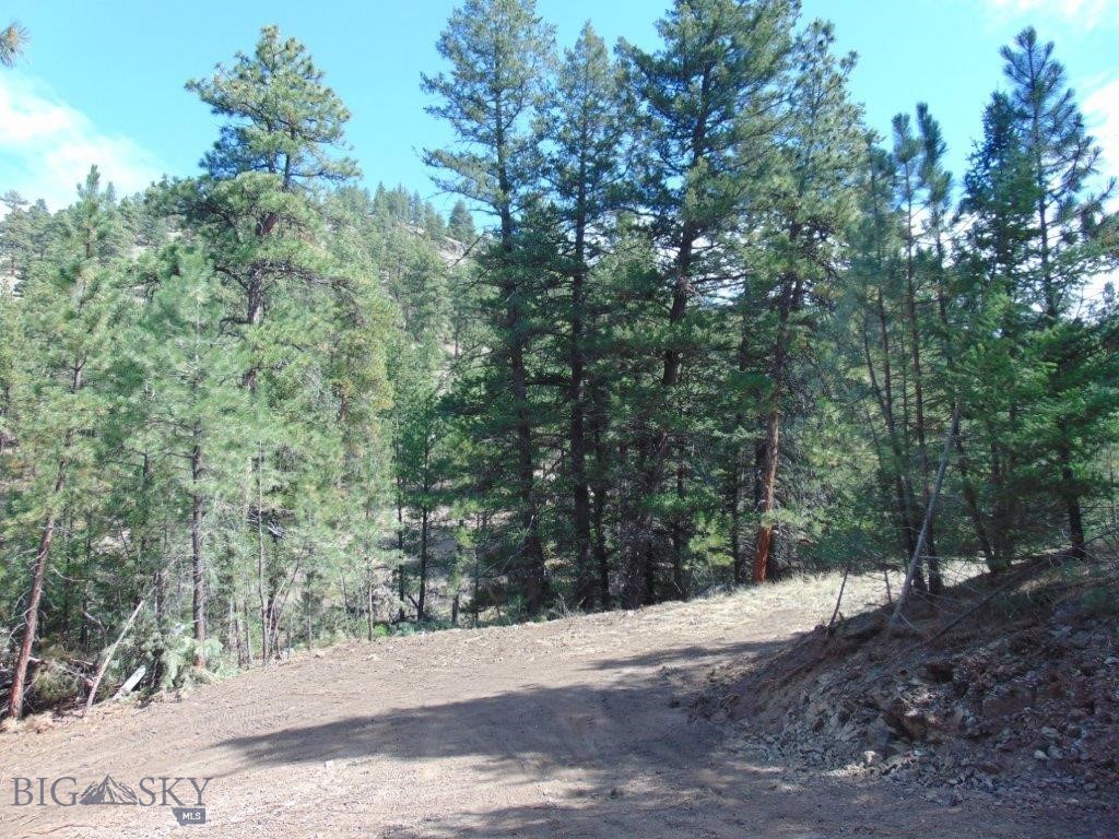 Tbd Shady Spring Lane Cascade, MT 59421 - Photo 75 of 78 Gallery Image 75