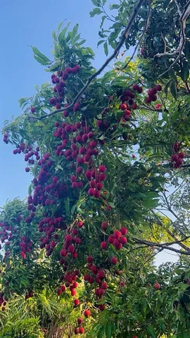 a view of a lake with beach and city
