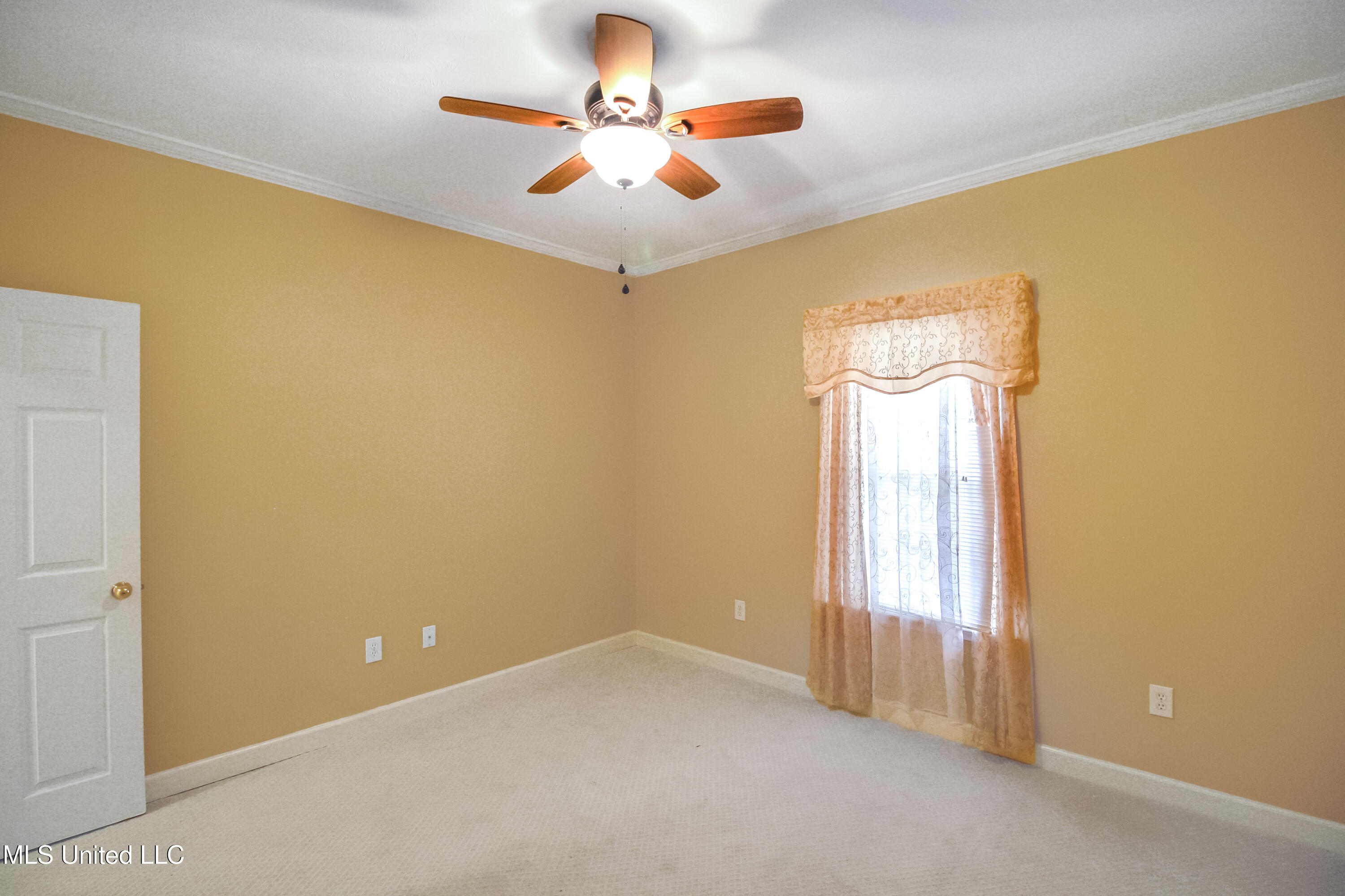 117 Springtree Drive Brandon, MS 39042 - Photo 25 of 32 IMG_8810