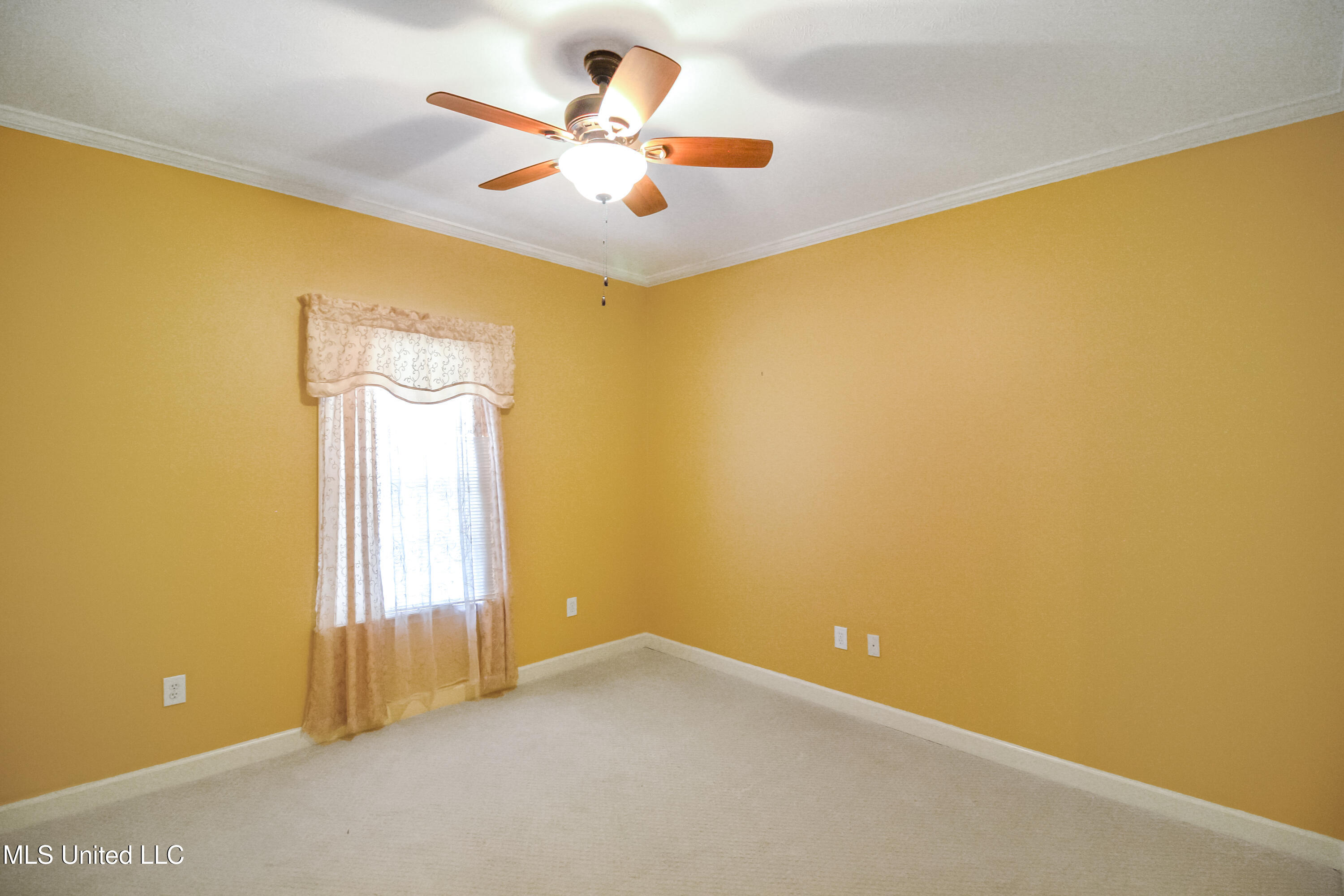 117 Springtree Drive Brandon, MS 39042 - Photo 26 of 32 IMG_8814