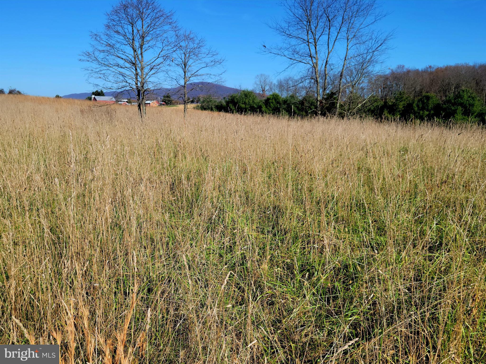 Potential Home Site
