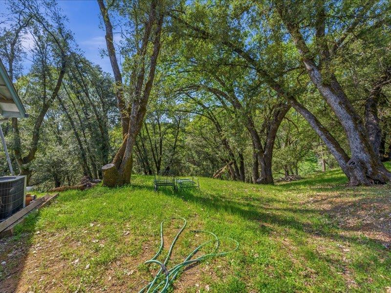 15444 Nancy Way Grass Valley, CA 95949 - Photo 40 of 52