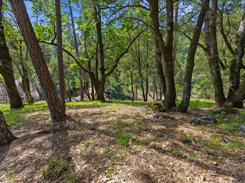 15444 Nancy Way Grass Valley, CA 95949 - Photo 44 of 52