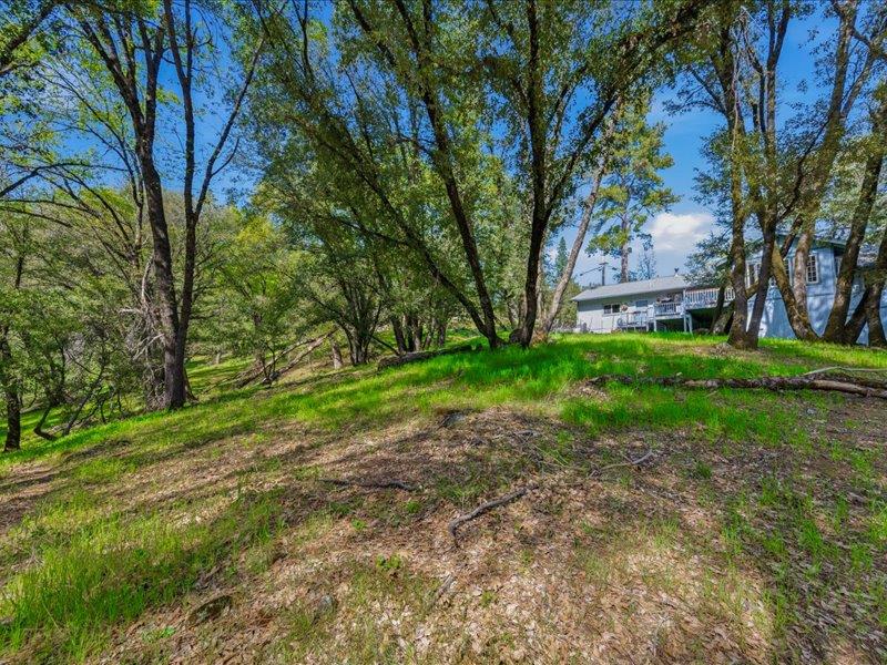 15444 Nancy Way Grass Valley, CA 95949 - Photo 45 of 52