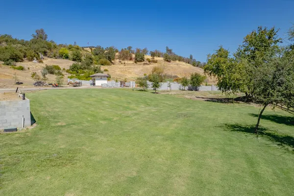 a view of a field with an trees