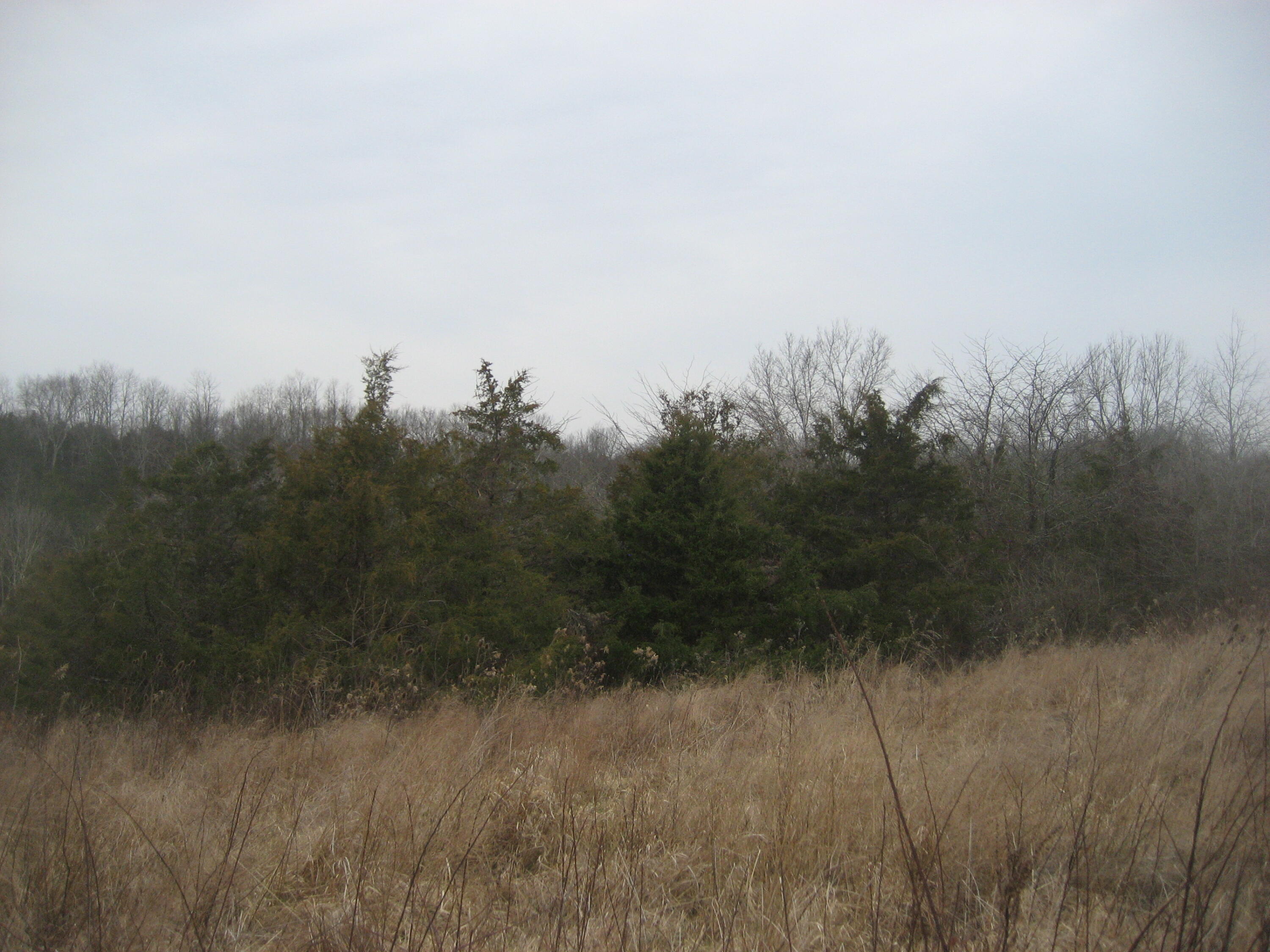 1235 Rutherford School Road Lawrenceburg, KY 40342 - Photo 24 of 31 IMG_1364