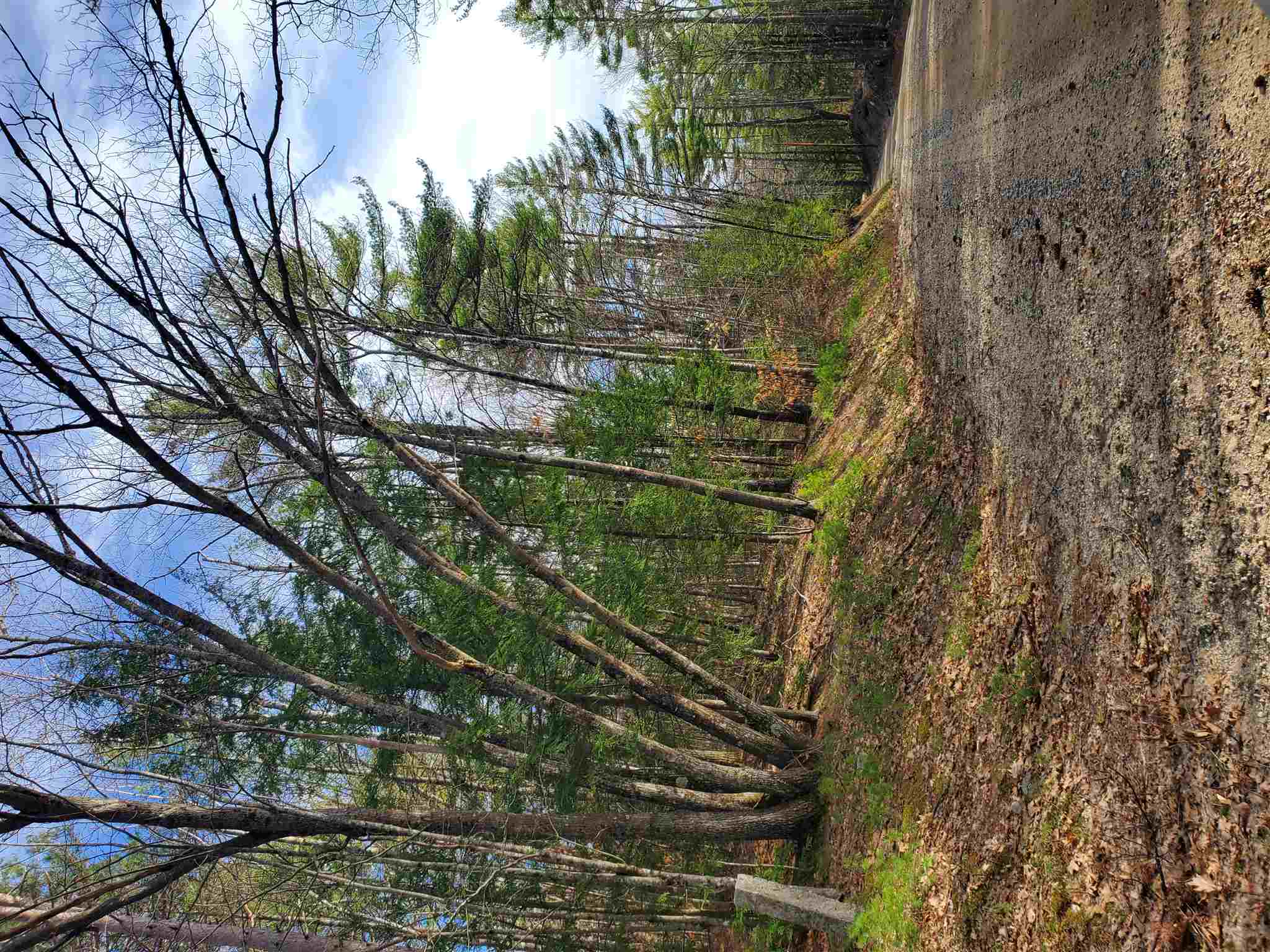 Lot 6 Lost Mile Road Parsonsfield, ME 04047 - Photo 1 of 2 Gallery Image 1