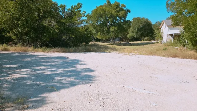 a view of a yard with a tree