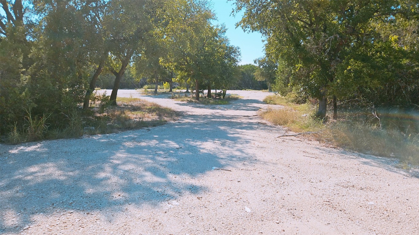 105 Meadow Drive Georgetown, TX 78633 - Photo 19 of 24 a view of a yard with a tree