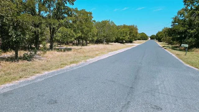 a view of a dry yard with large trees