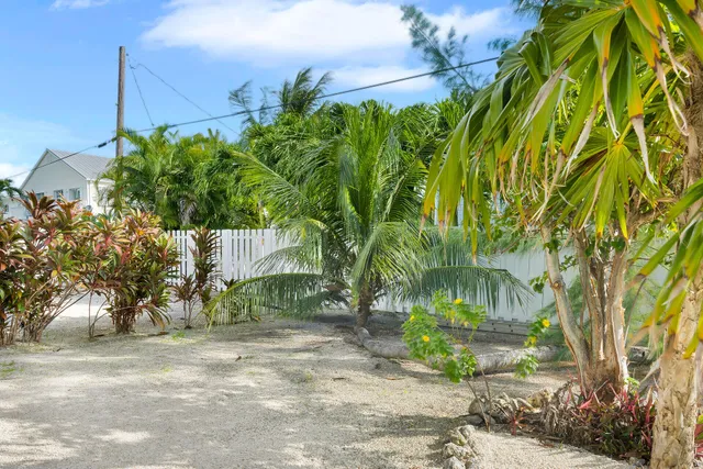 a view of a yard with plants and a trees