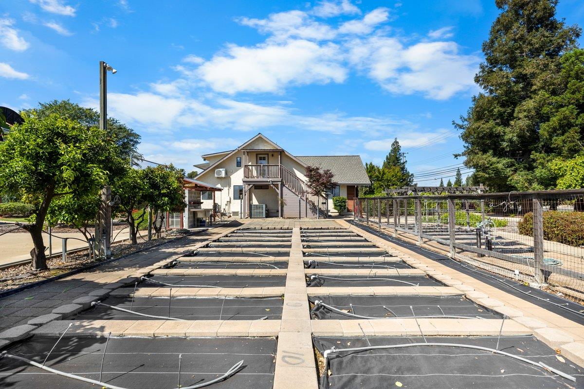 9930 Calvine Road Sacramento, CA 95829 - Photo 61 of 85 Lush garden