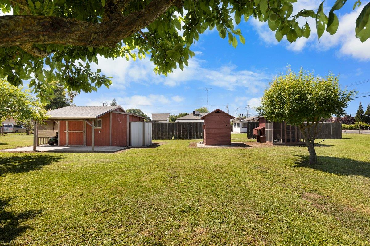 9930 Calvine Road Sacramento, CA 95829 - Photo 78 of 85 Dozens of Fruit Trees, several storage sheds, sprinkler systems