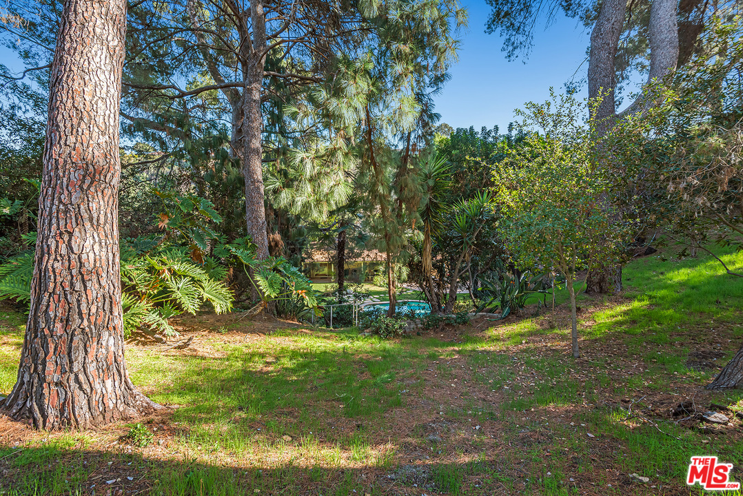 4205 Valley Meadow Road Encino, CA 91436 - Photo 31 of 41
