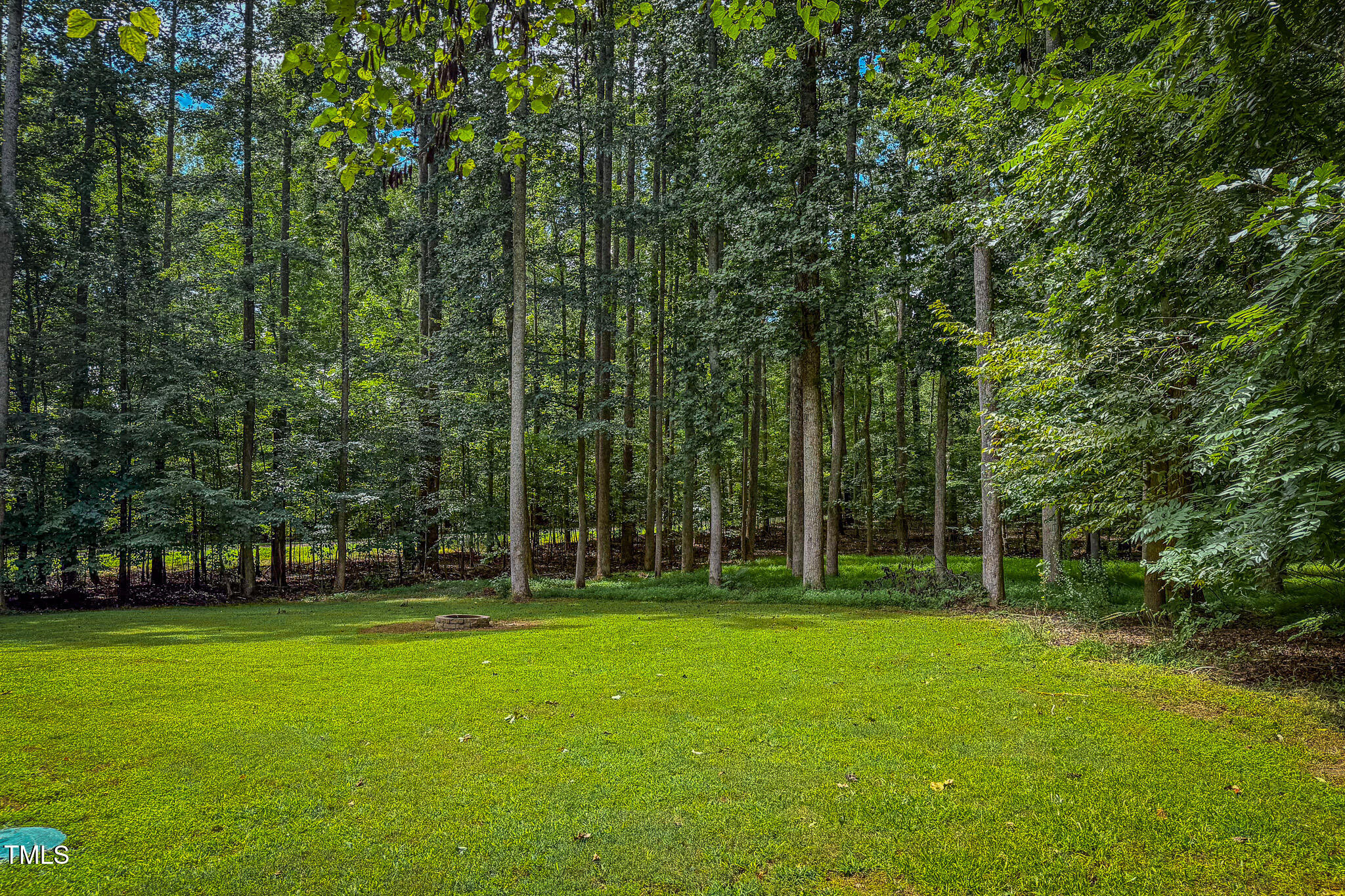 476 North Old Lantern Road Timberlake, NC 27583 - Photo 46 of 50 a view of a park with large trees