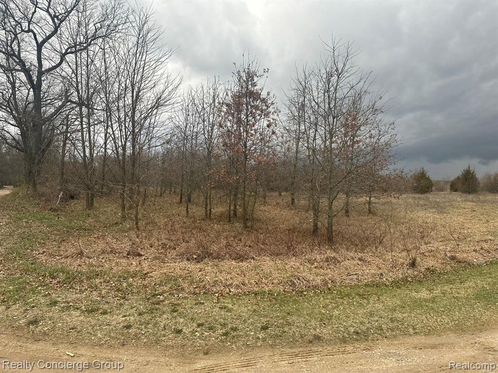 0 Dutcher Road Howell, MI 48843 - Photo 6 of 21