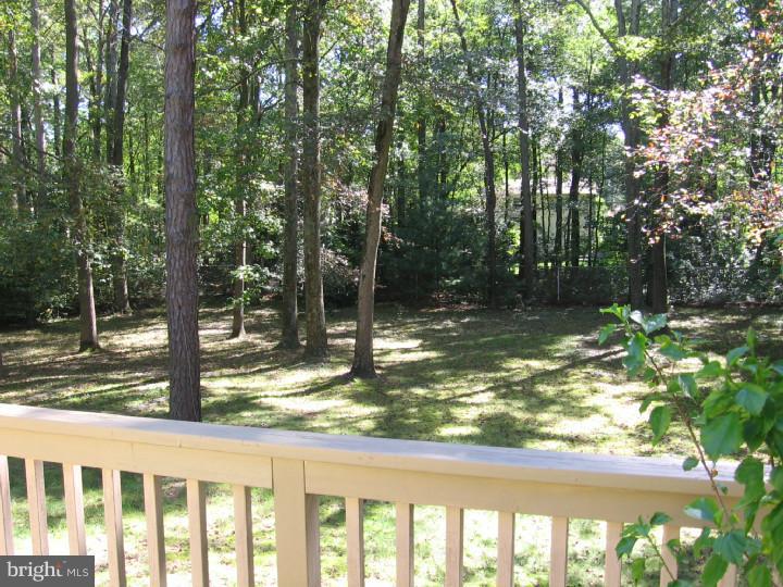 57 Taunton Road Medford, NJ 08055 - Photo 19 of 24 Back Yard