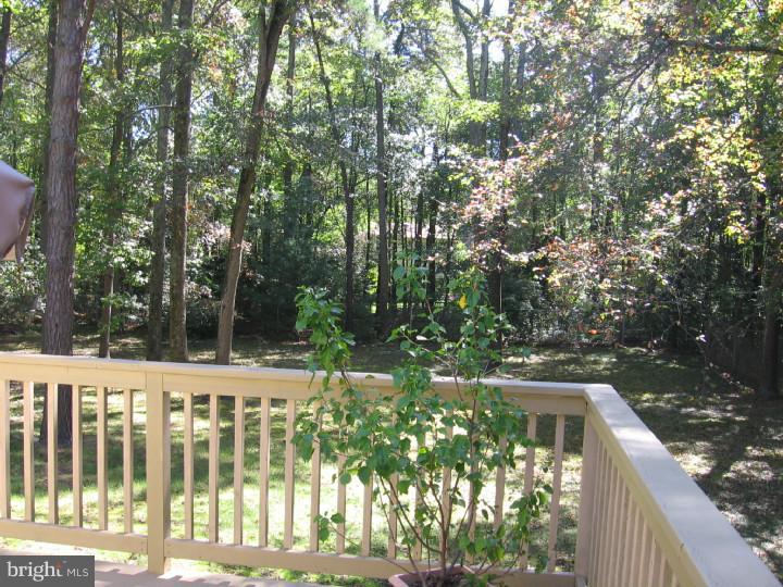 57 Taunton Road Medford, NJ 08055 - Photo 20 of 24 Back Yard