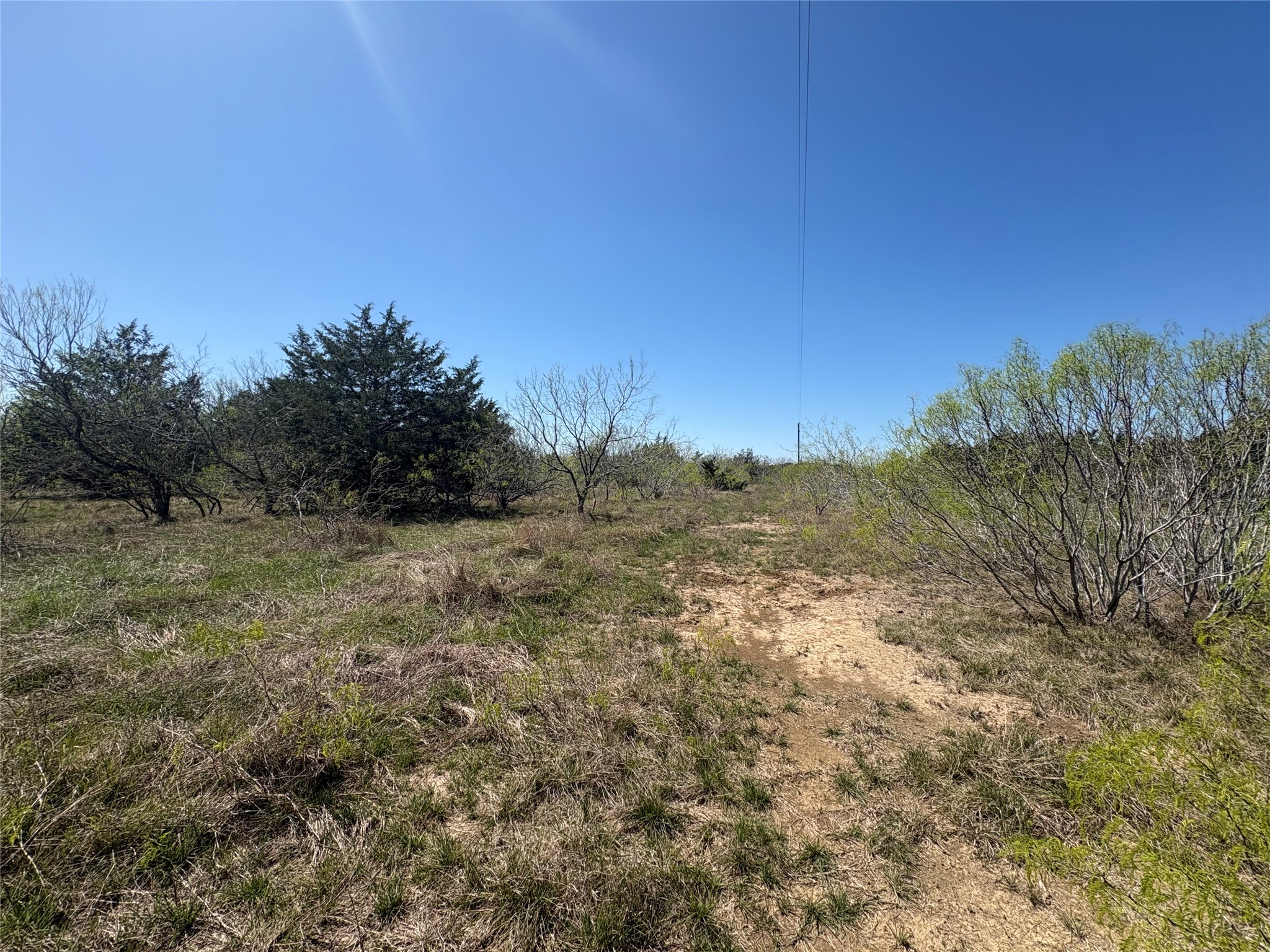 Tbd Patterson Road Flatonia, TX 78941 - Photo 15 of 35 View of local wilderness with rural landscape