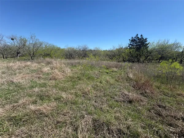a view of a field of grass and trees