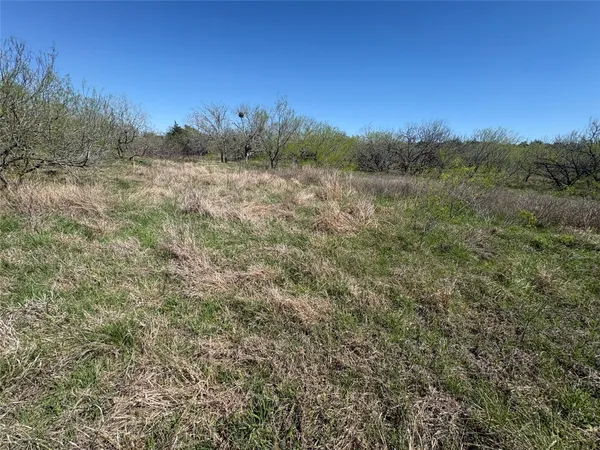 a view of a field of grass and trees