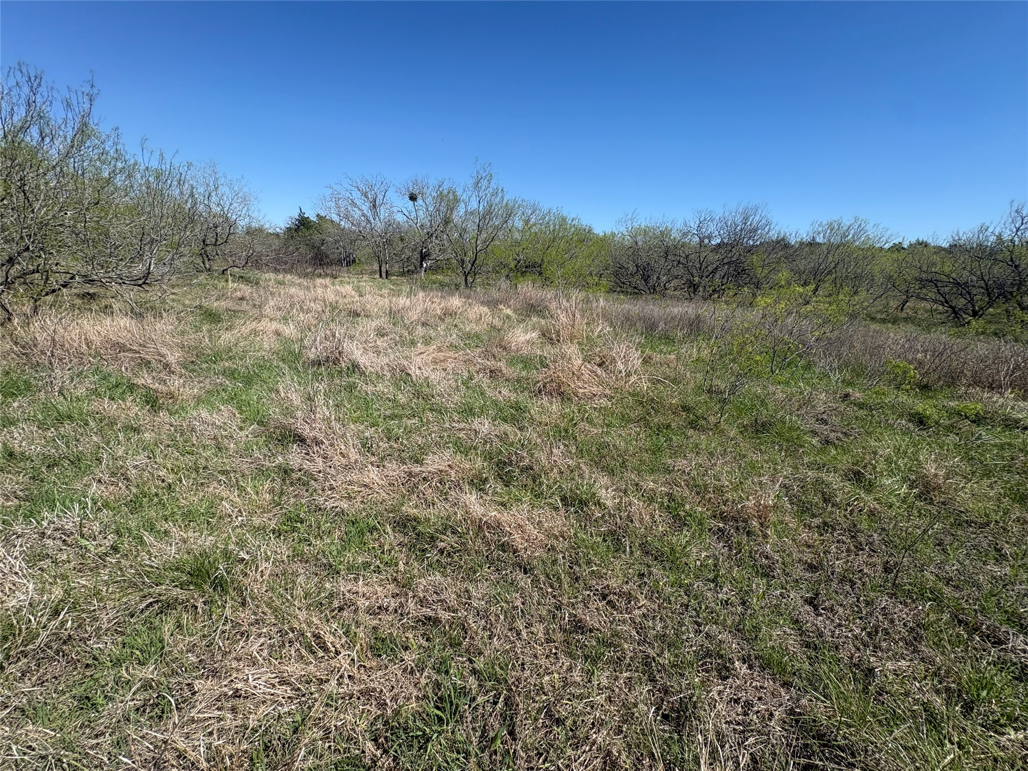 Tbd Patterson Road Flatonia, TX 78941 - Photo 23 of 35 View of undeveloped land featuring rural landscape