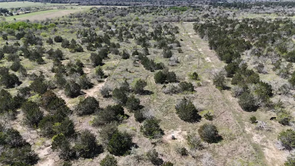 a view of a yard
