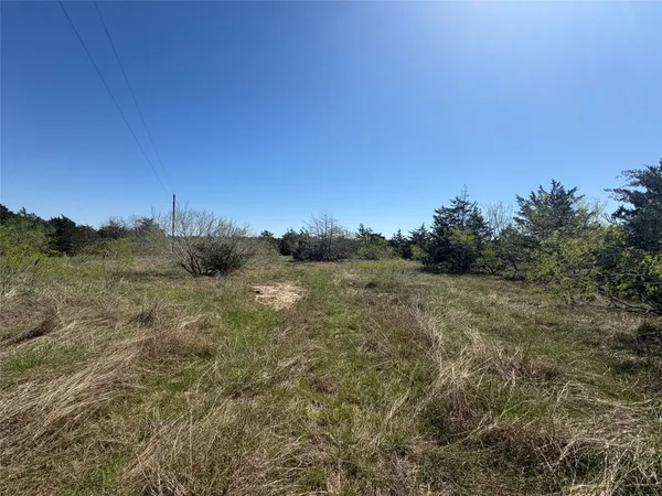 a view of a field of grass and trees