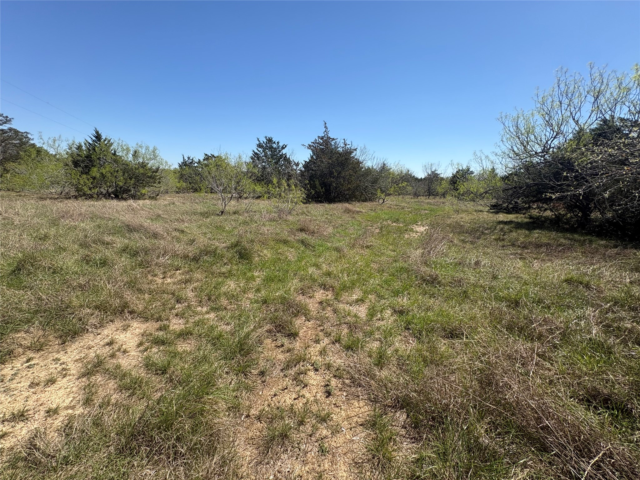 Tbd Patterson Road Flatonia, TX 78941 - Photo 7 of 35 View of undeveloped land featuring rural landscape