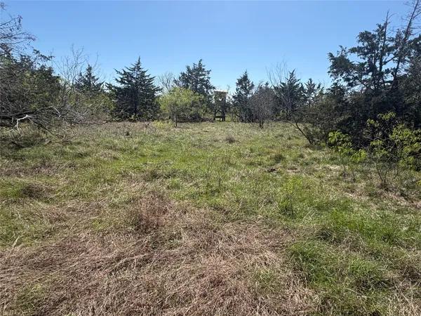 a view of a field with trees in the background