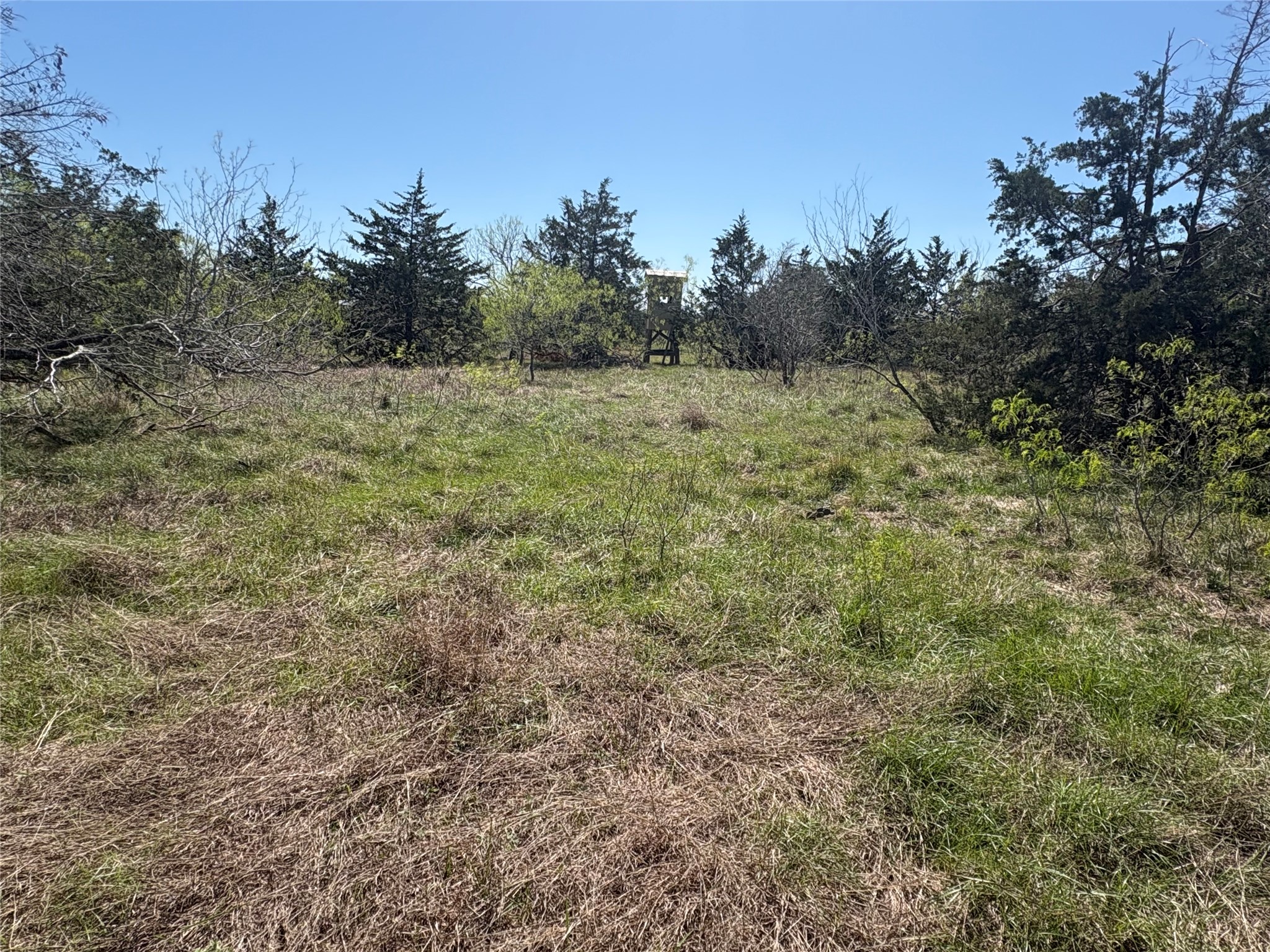 Tbd Patterson Road Flatonia, TX 78941 - Photo 8 of 35 View of undeveloped land featuring rural landscape