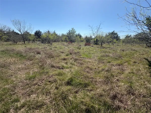 a view of a field with trees in background