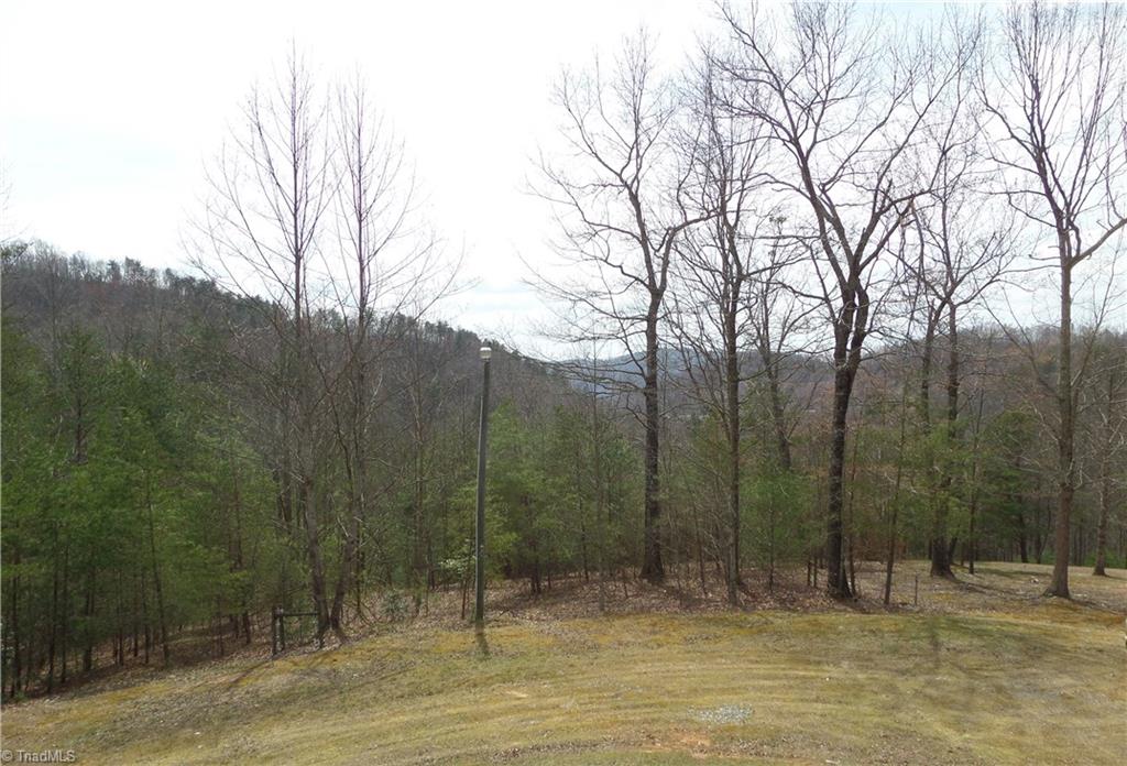 3748 White Oak Road Purlear, NC 28665 - Photo 11 of 29