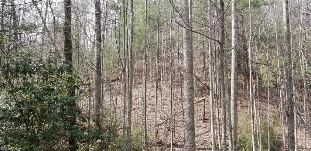 3748 White Oak Road Purlear, NC 28665 - Photo 13 of 29