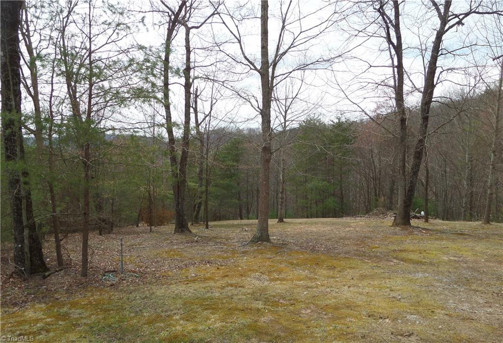 3748 White Oak Road Purlear, NC 28665 - Photo 9 of 29
