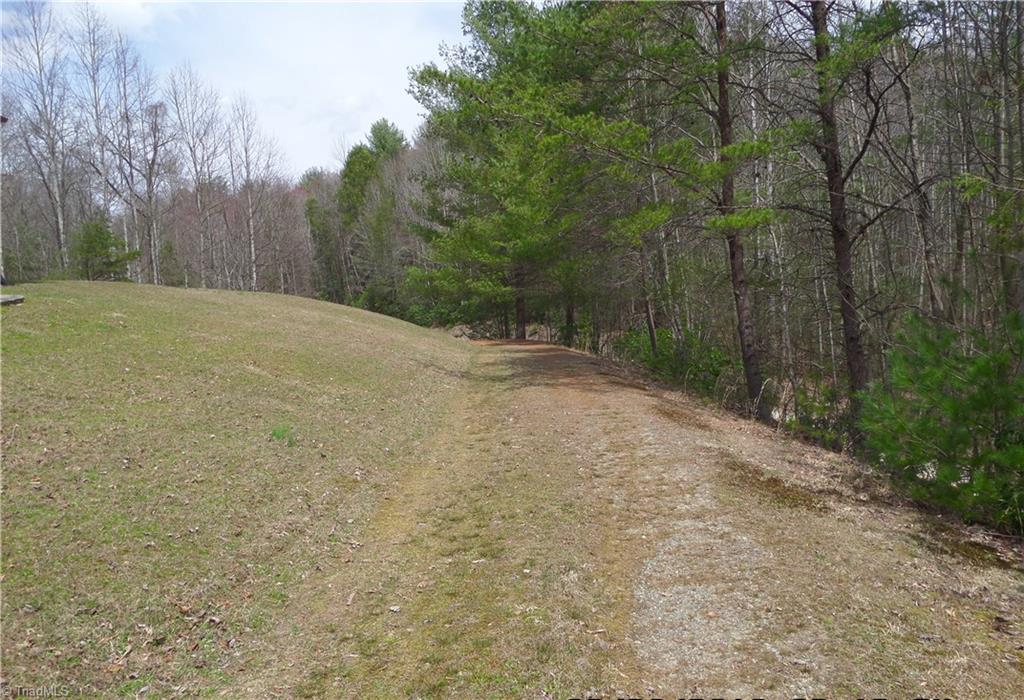 3748 White Oak Road Purlear, NC 28665 - Photo 10 of 29