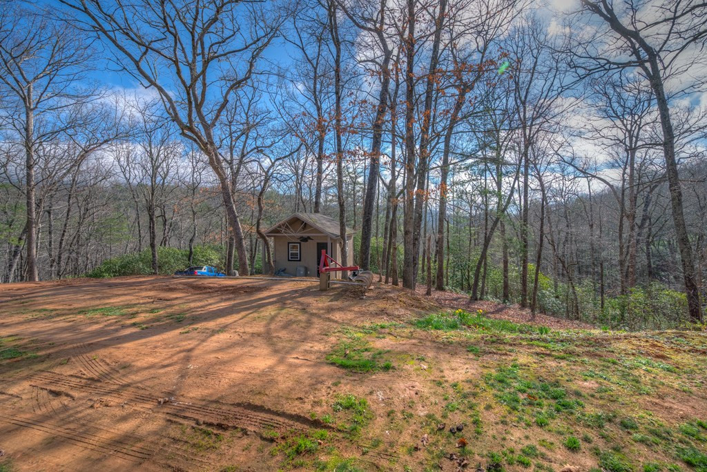 118 Hothouse Crk Road Murphy, NC 28906 - Photo 9 of 41