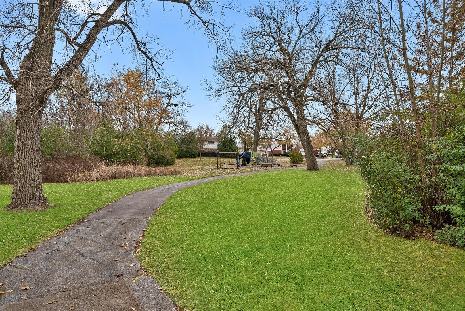 17731 Larkspur Lane Homewood, IL 60430 - Photo 31 of 38 a green field with lots of trees