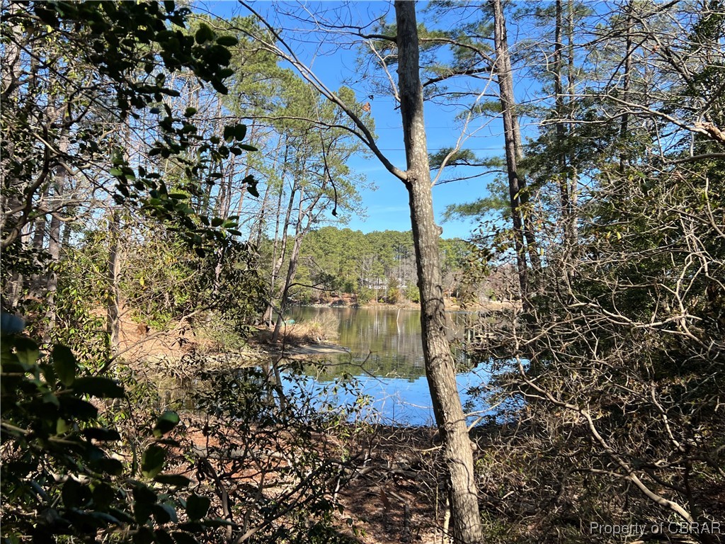 Tbd Cove Colony Road Lancaster, VA 22503 - Photo 2 of 4