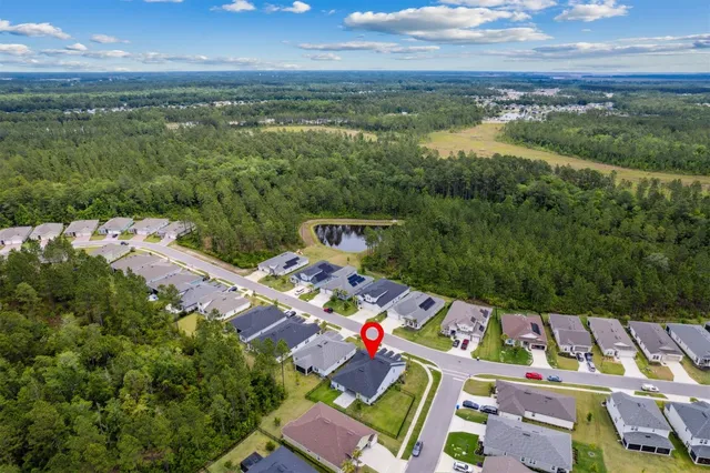 a view of a park with a palm and plants