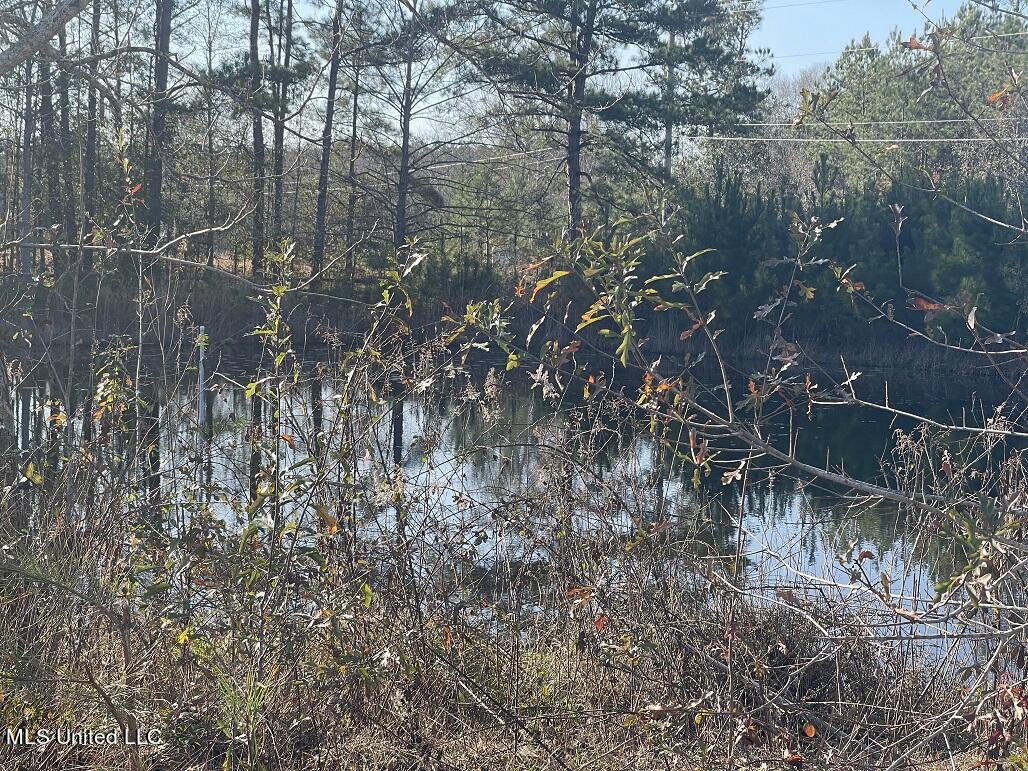 158 Ceasar Road Picayune, MS 39466 - Photo 22 of 23 Pond