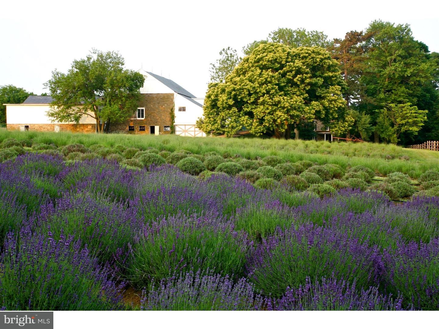 5966 Mechanicsville Road Doylestown, PA 18902 - Photo 22 of 25