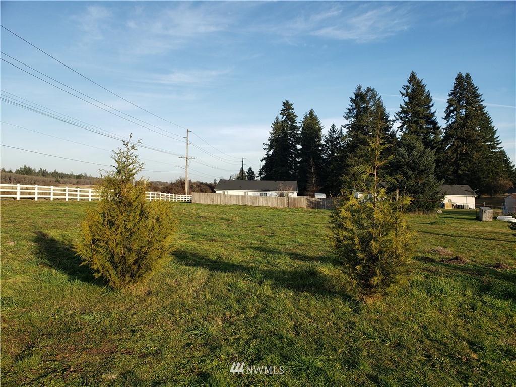 18301 Brandywine Court Southwest Rochester, WA 98579 - Photo 8 of 25 a view of a houses with a garden
