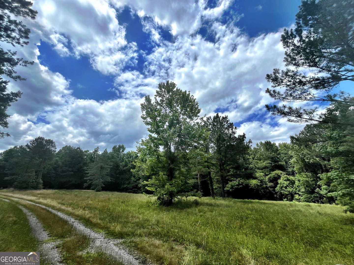 0 River Lane Juliette, GA 31046 - Photo 24 of 38 a view of an outdoor space and yard