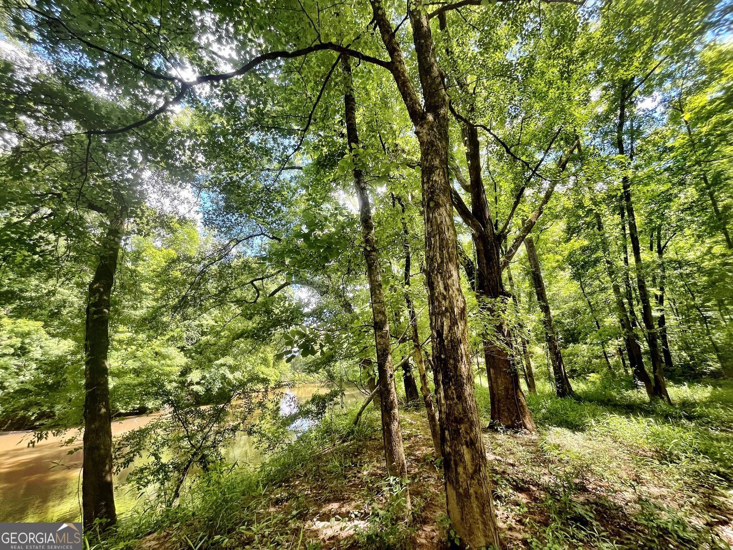 0 River Lane Juliette, GA 31046 - Photo 27 of 38 a view of forest